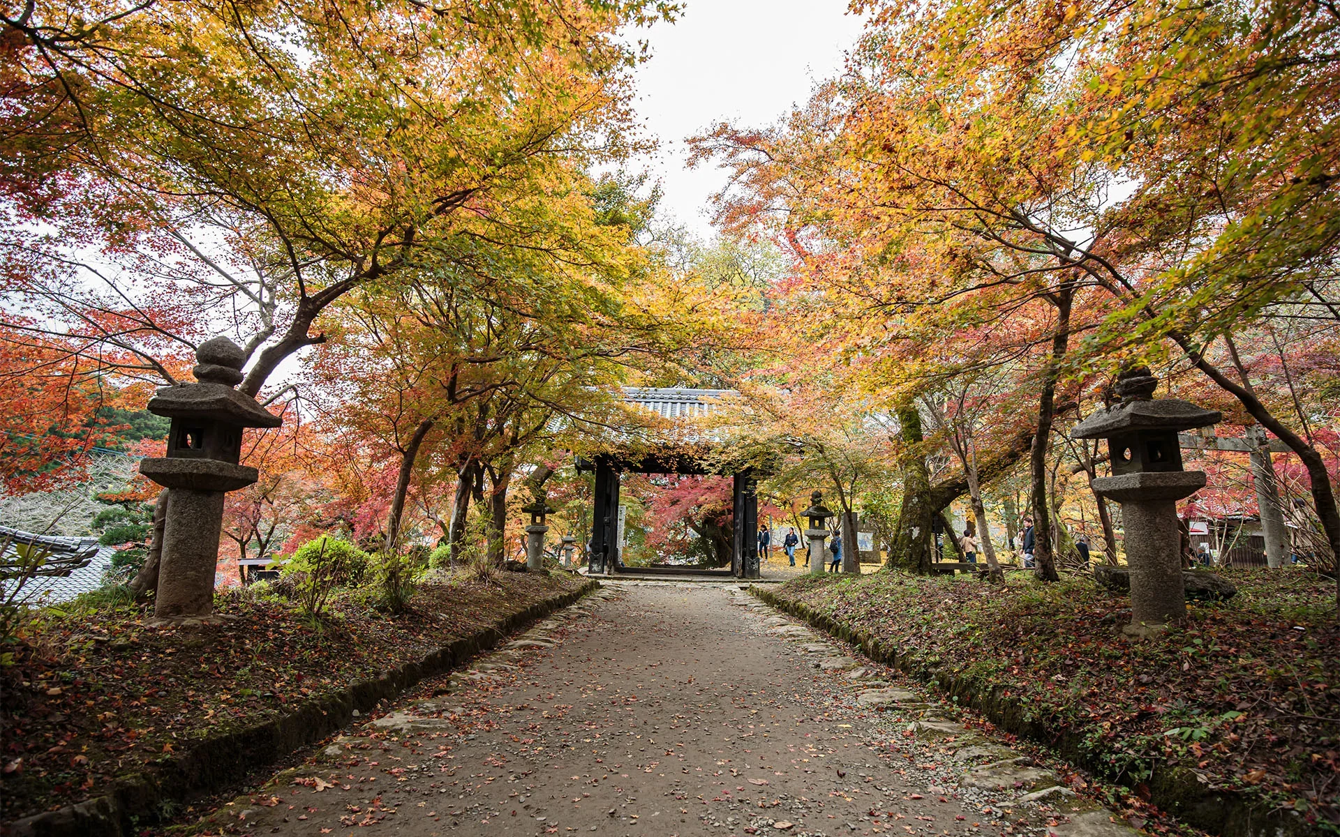 秋月城跡黑門與紅葉參道