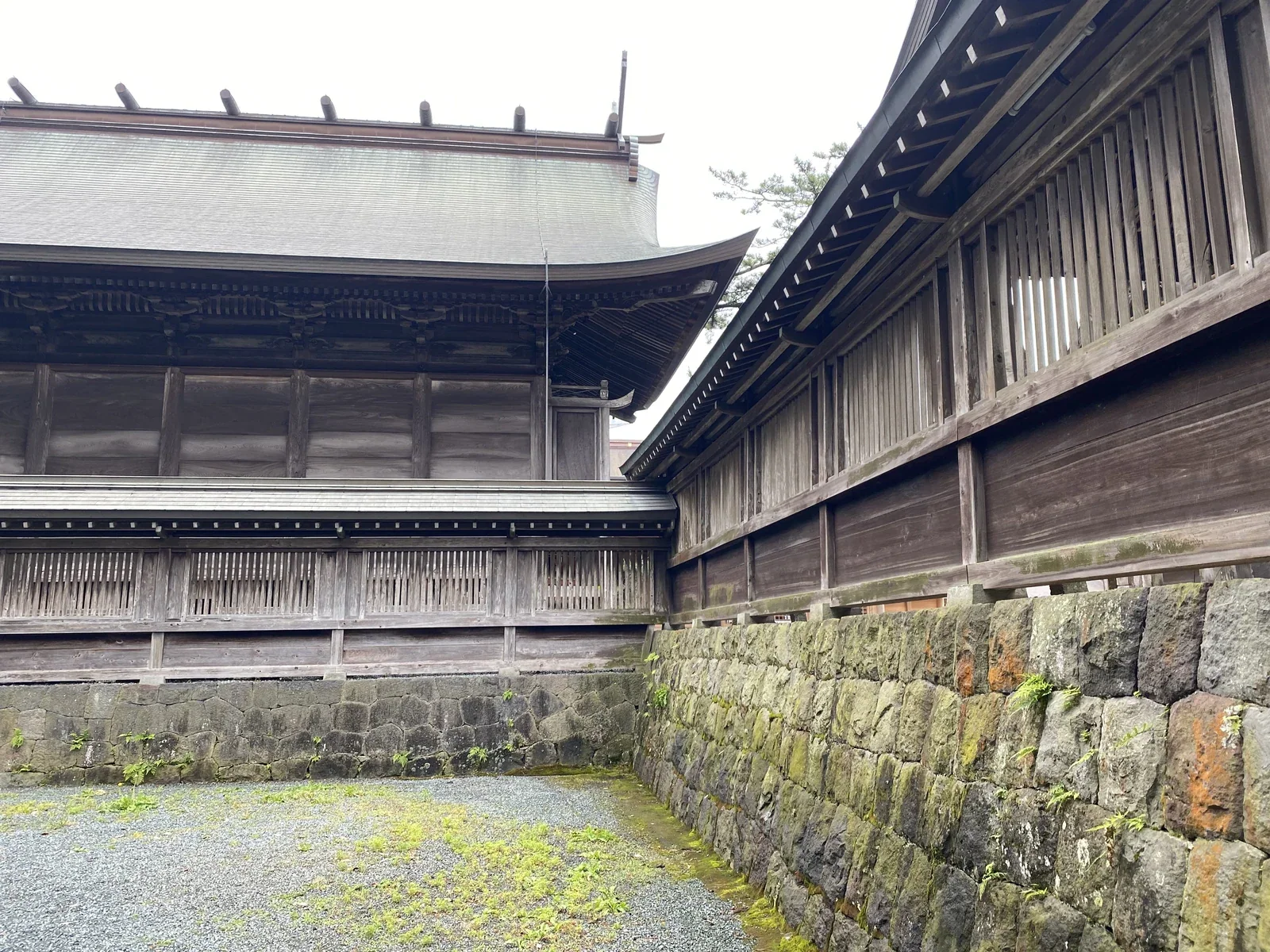 阿蘇神社境內社殿與參道