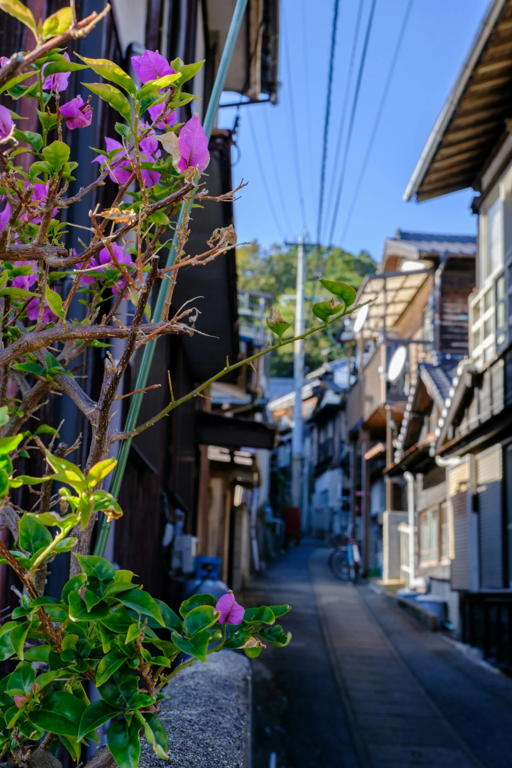 福岡舊市區巷道與兩側建築
