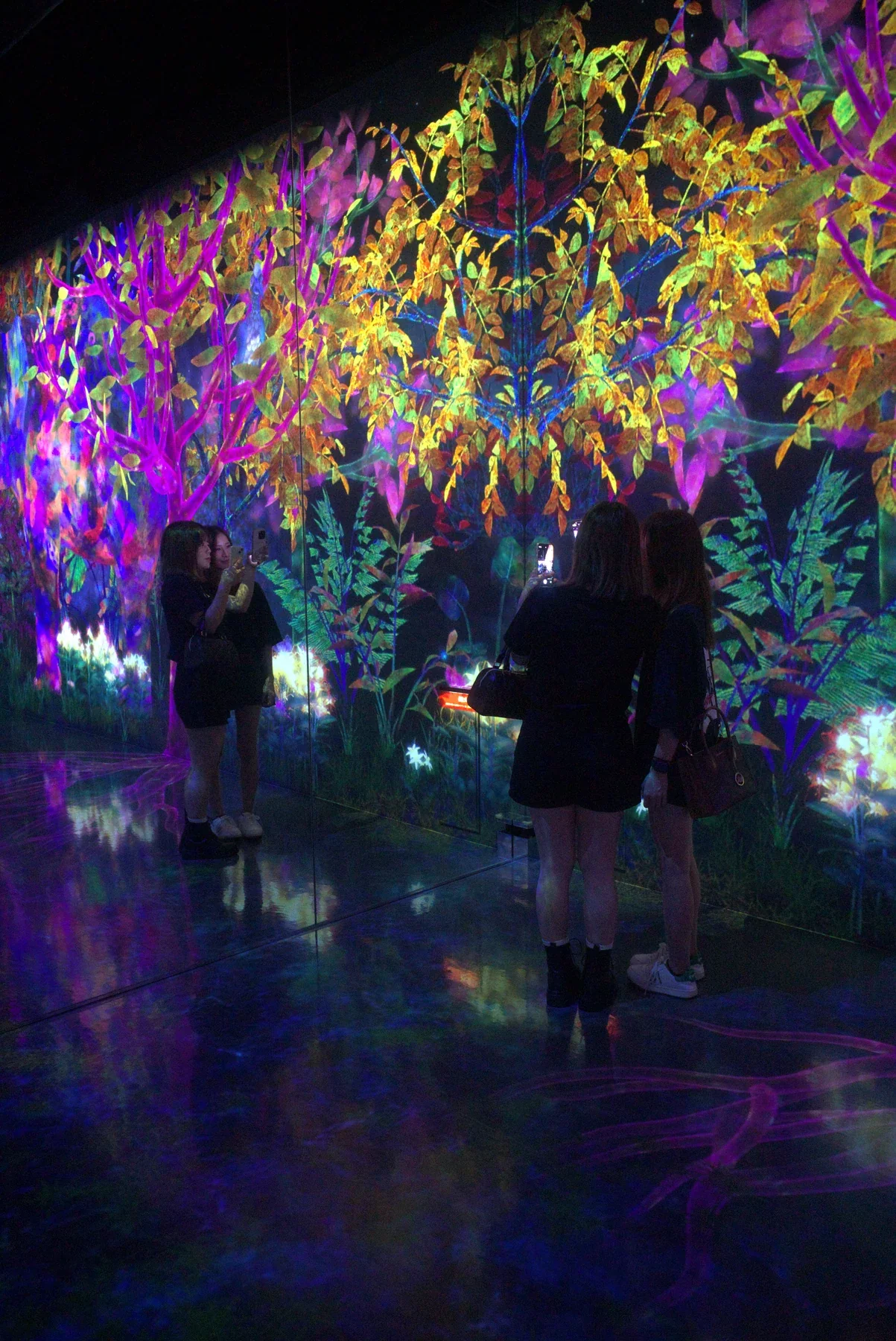 teamLab Forest 福岡館內實景（1）
