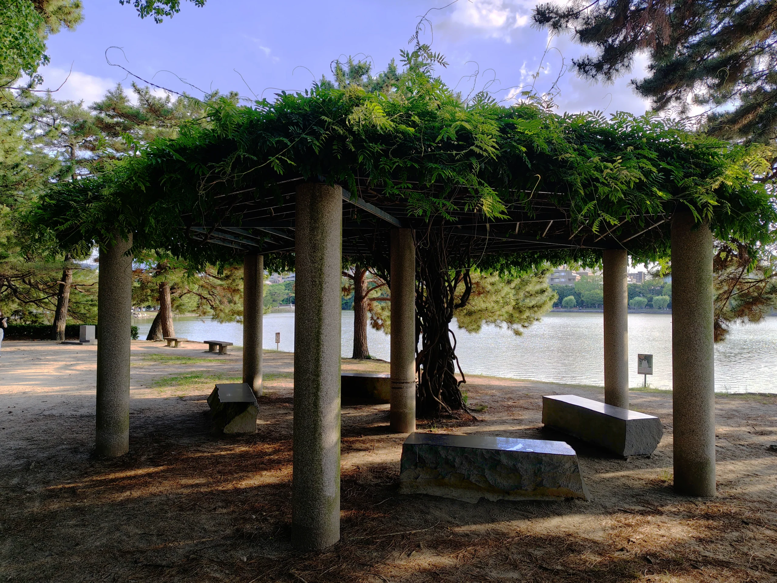 大濠公園松島的藤架、座椅與湖景