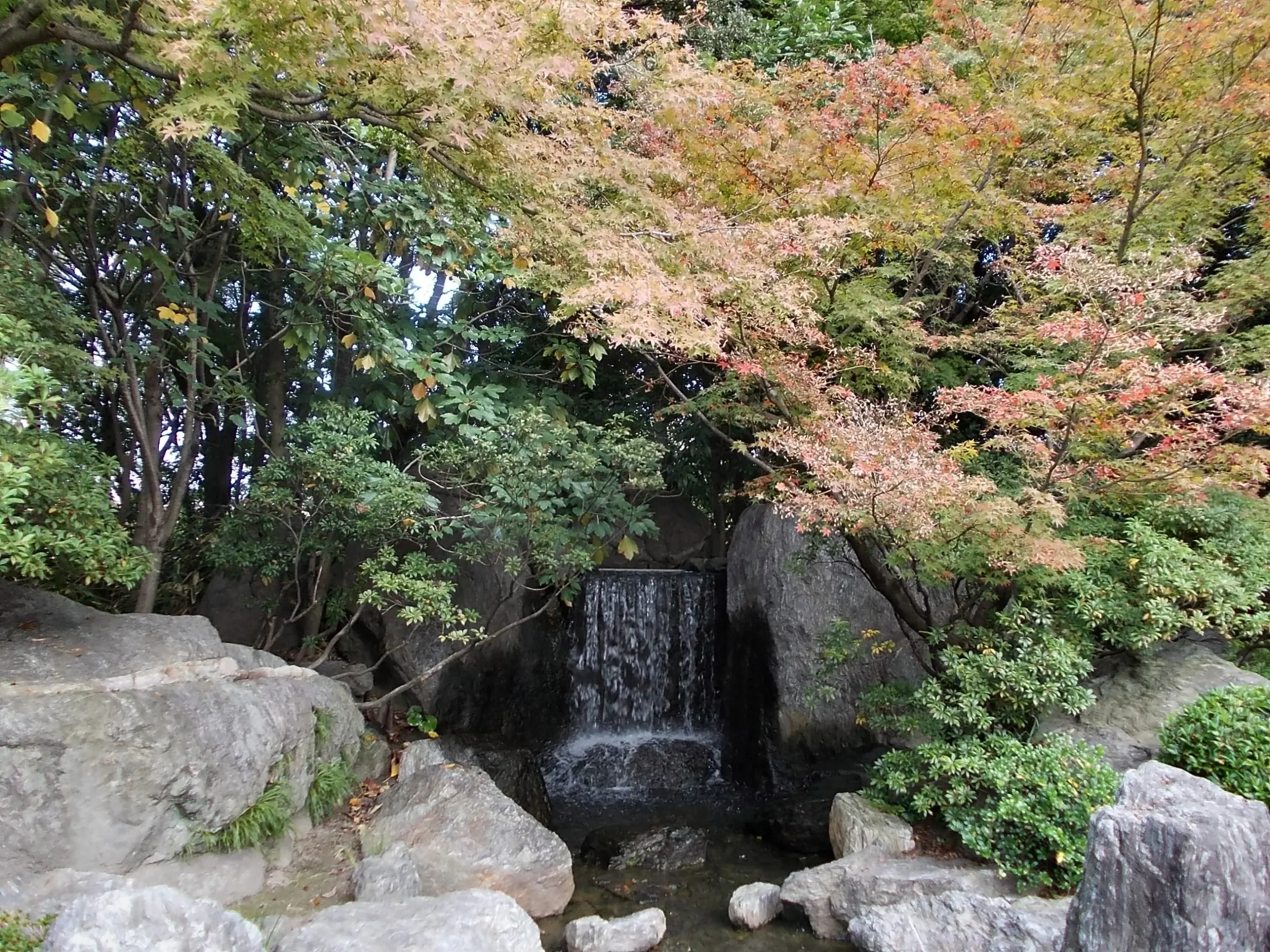 大濠公園日本庭園的石景、瀑布與紅葉樹