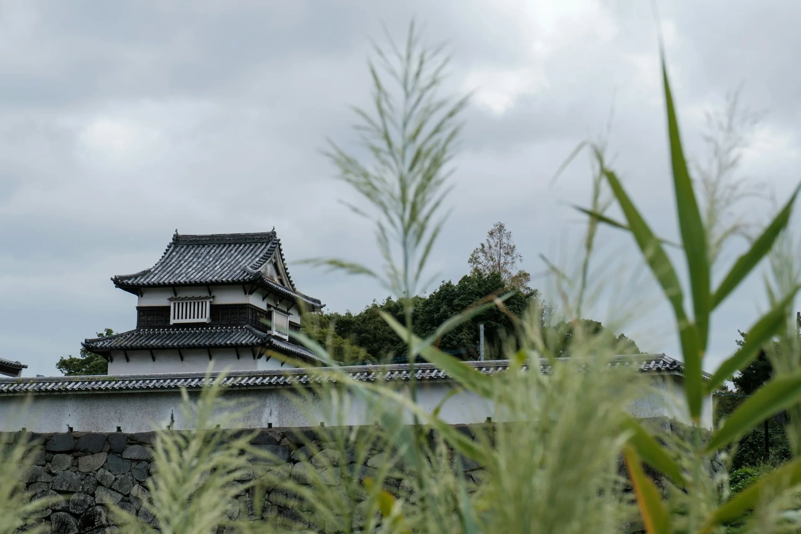 福岡城跡內的櫓建物與樹木