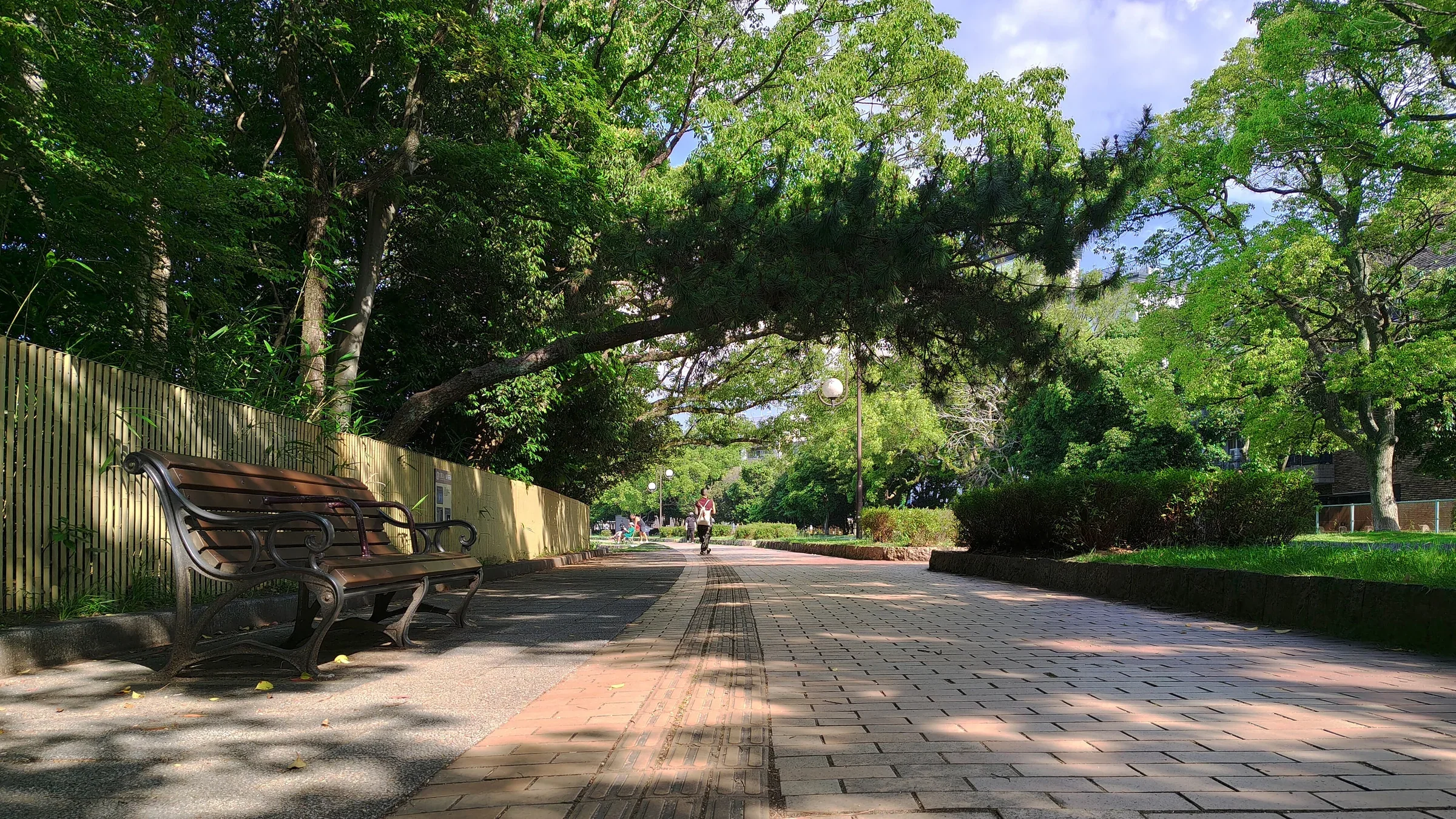大濠公園樹蔭下的環湖步道與長椅