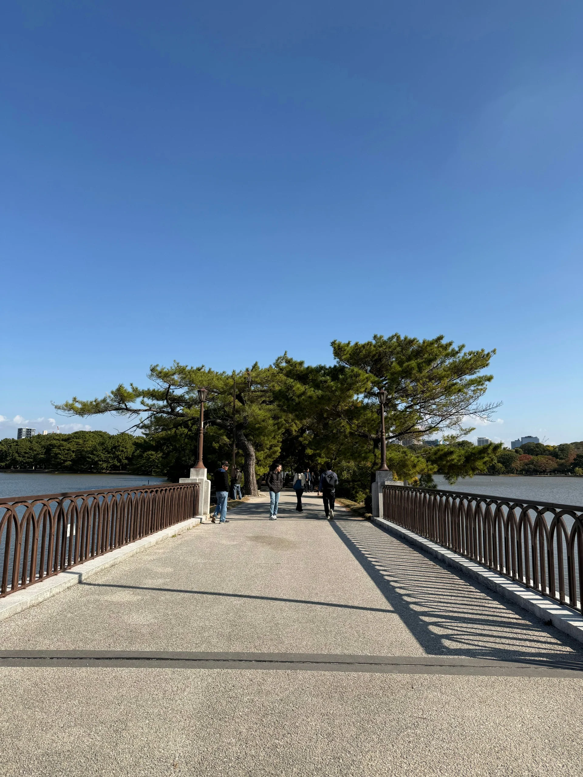大濠公園跨水步道通往湖中綠樹小島