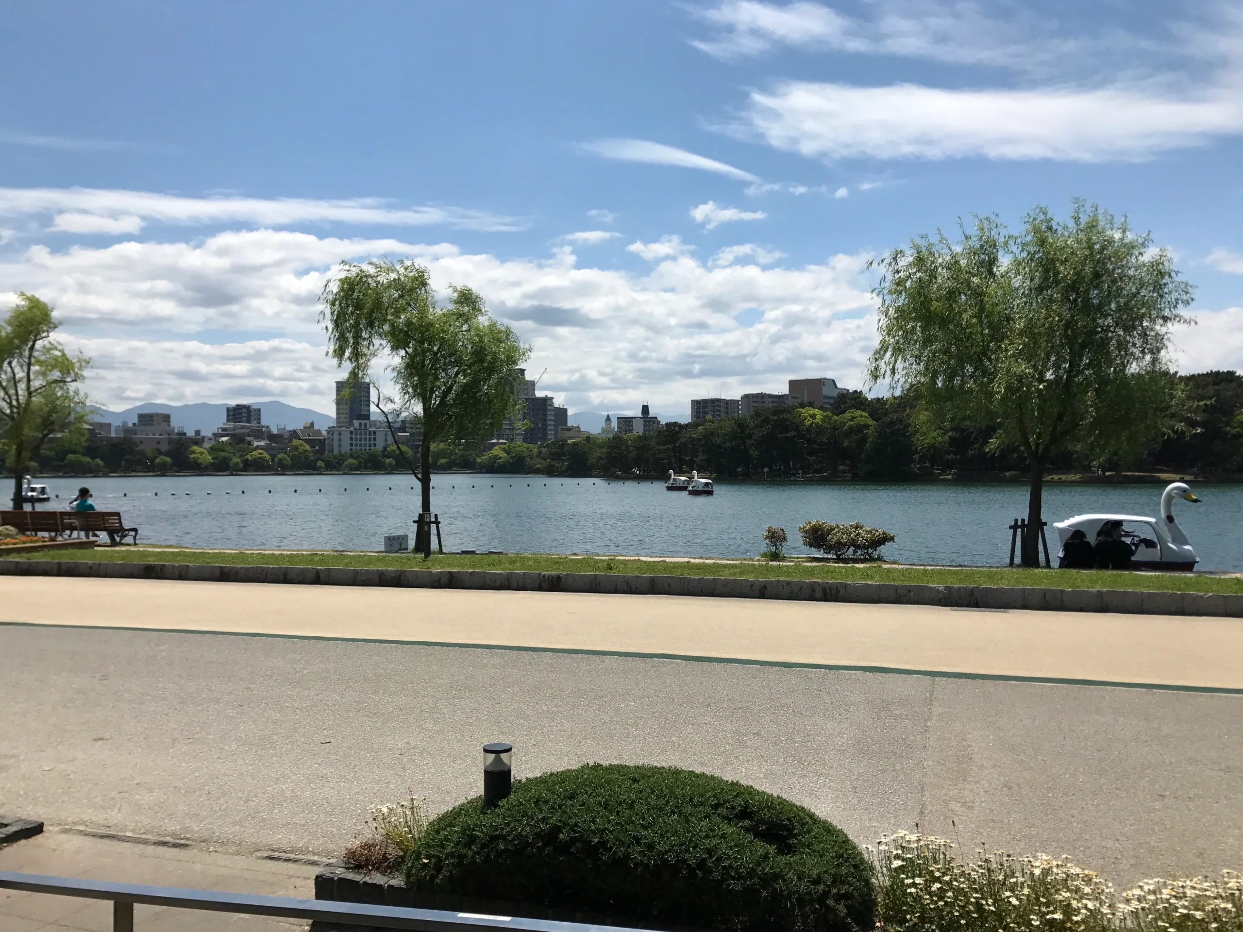 大濠公園湖畔步道與天鵝形腳踏船