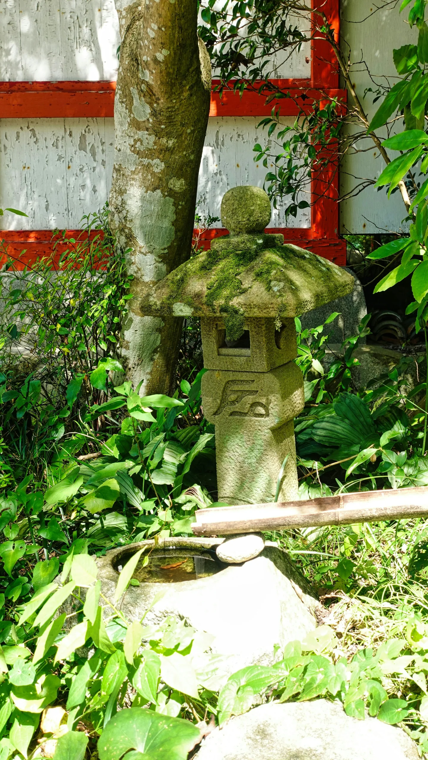 福岡到太宰府怎麼去？住天神搭西鐵，住博多我先看直達巴士