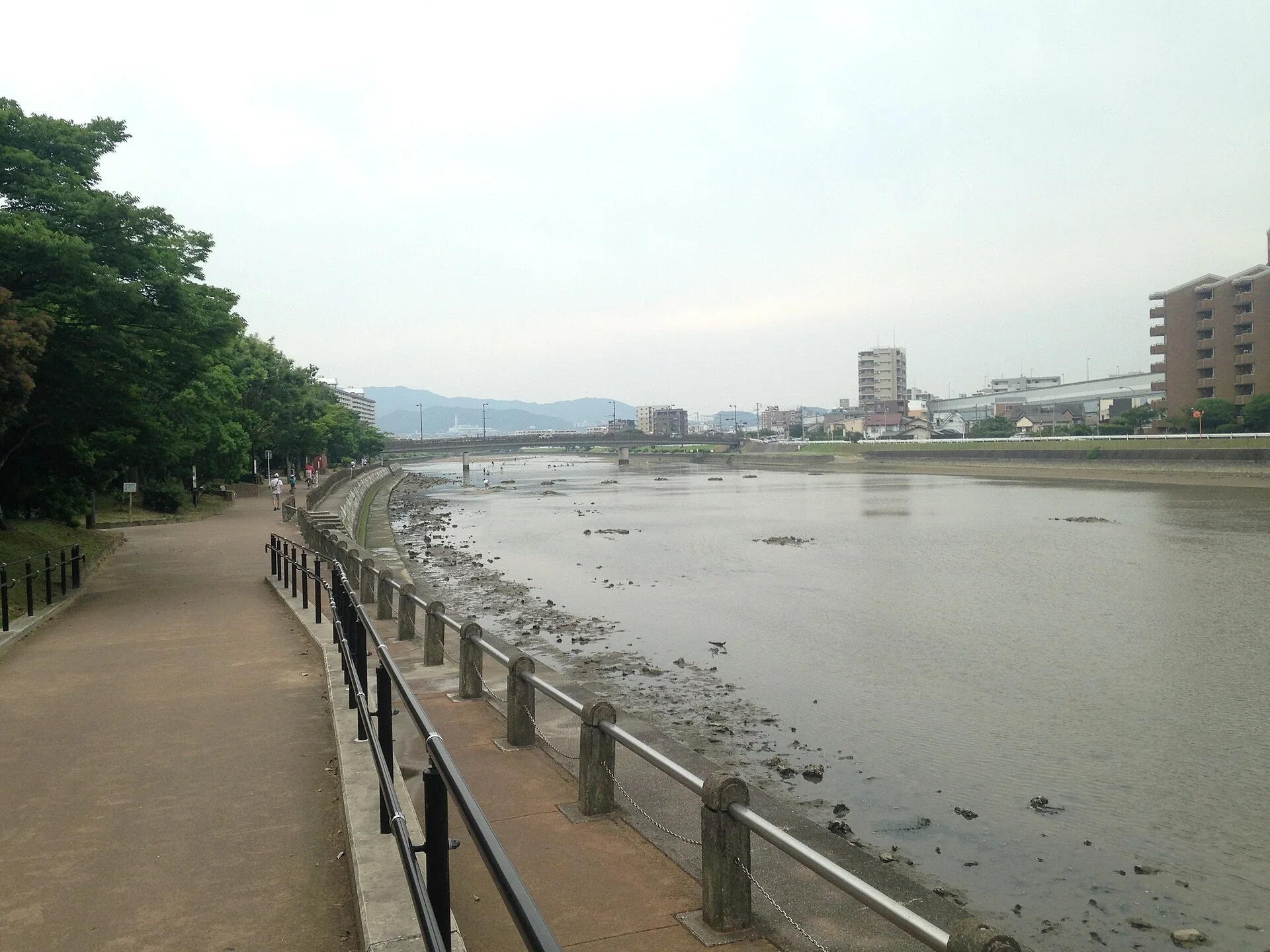 從室見橋東側望向室見川河道與橋面