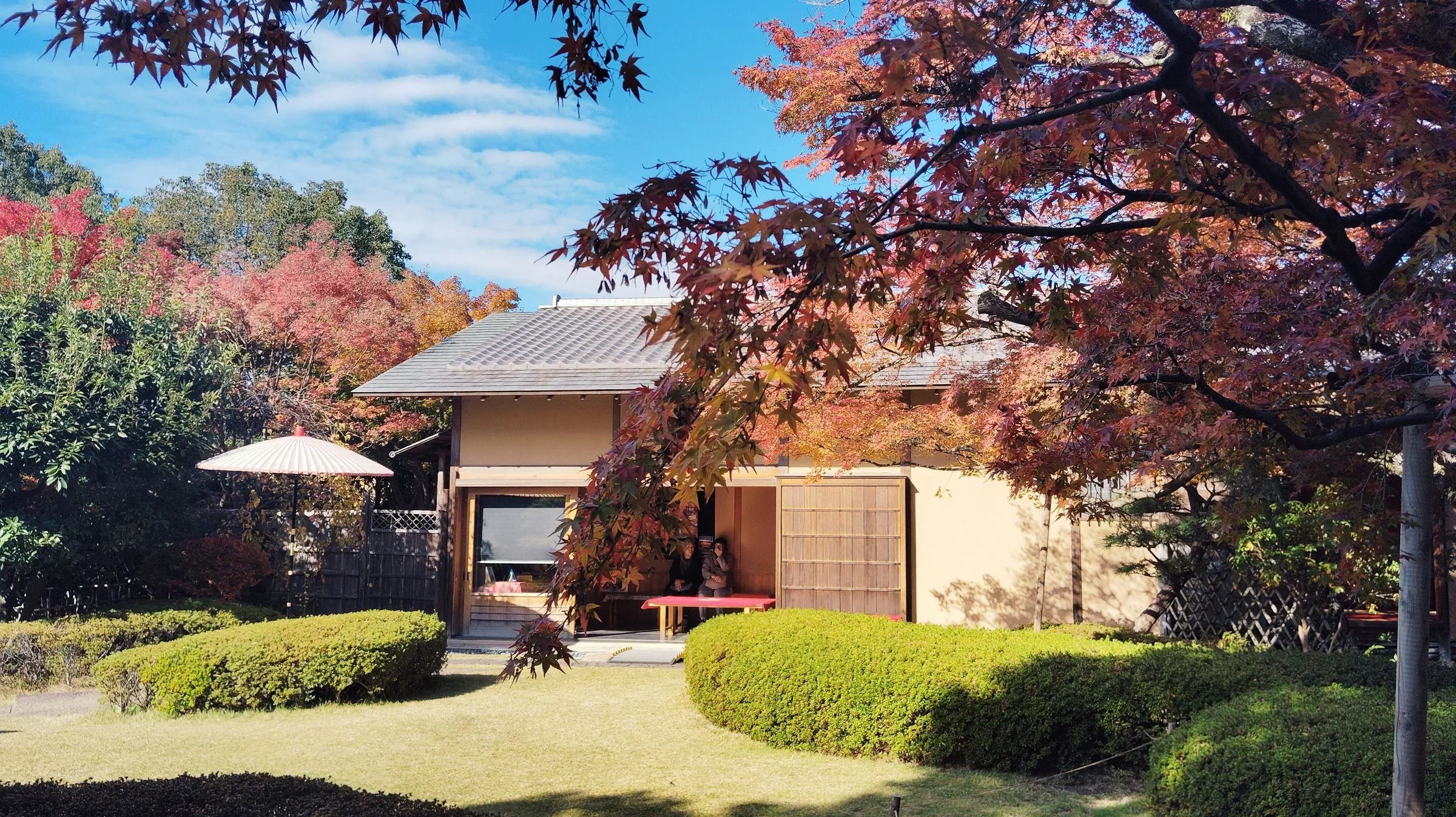 松風園茶室和庭園楓樹景觀