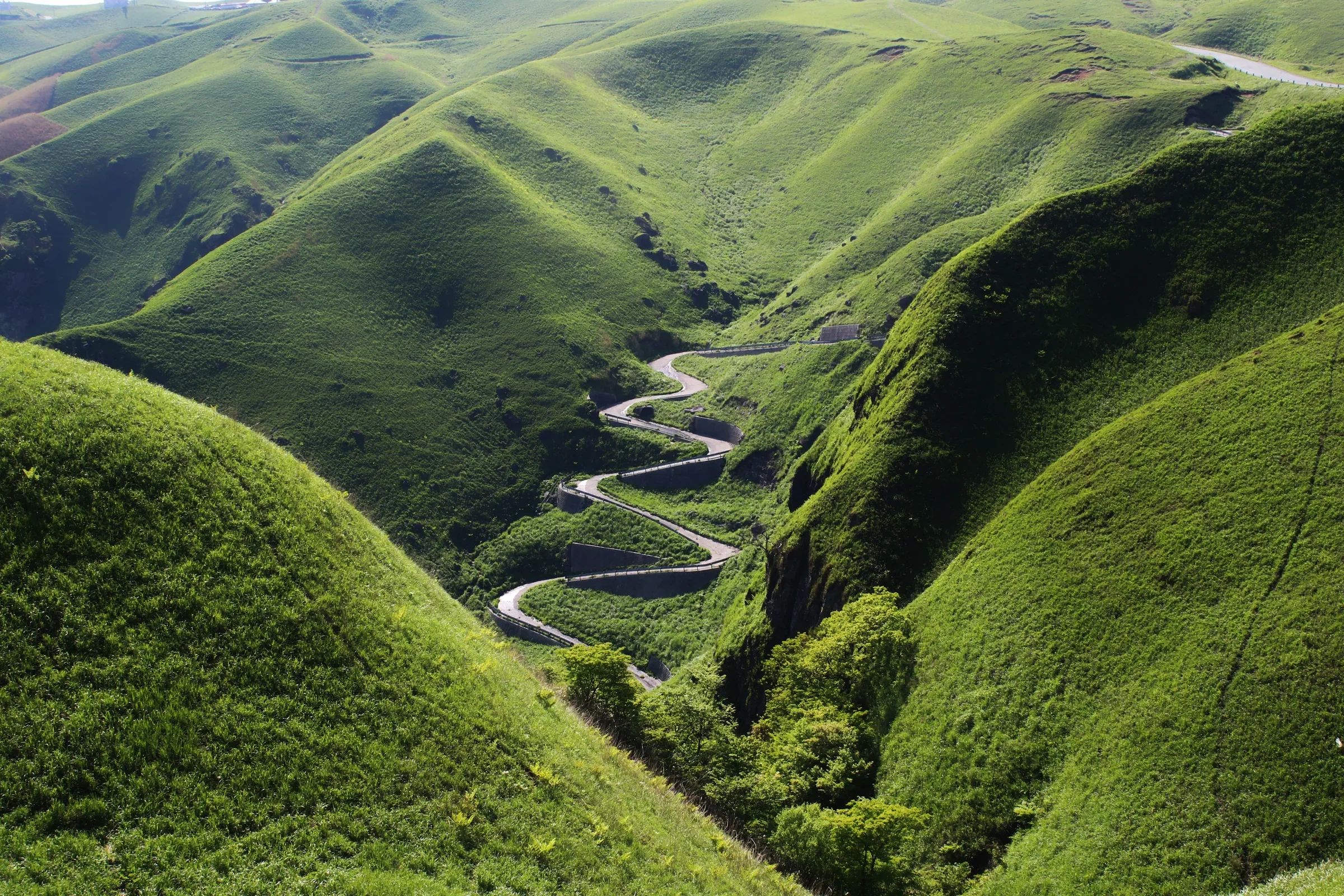 阿蘇綠色山丘間蜿蜒的道路