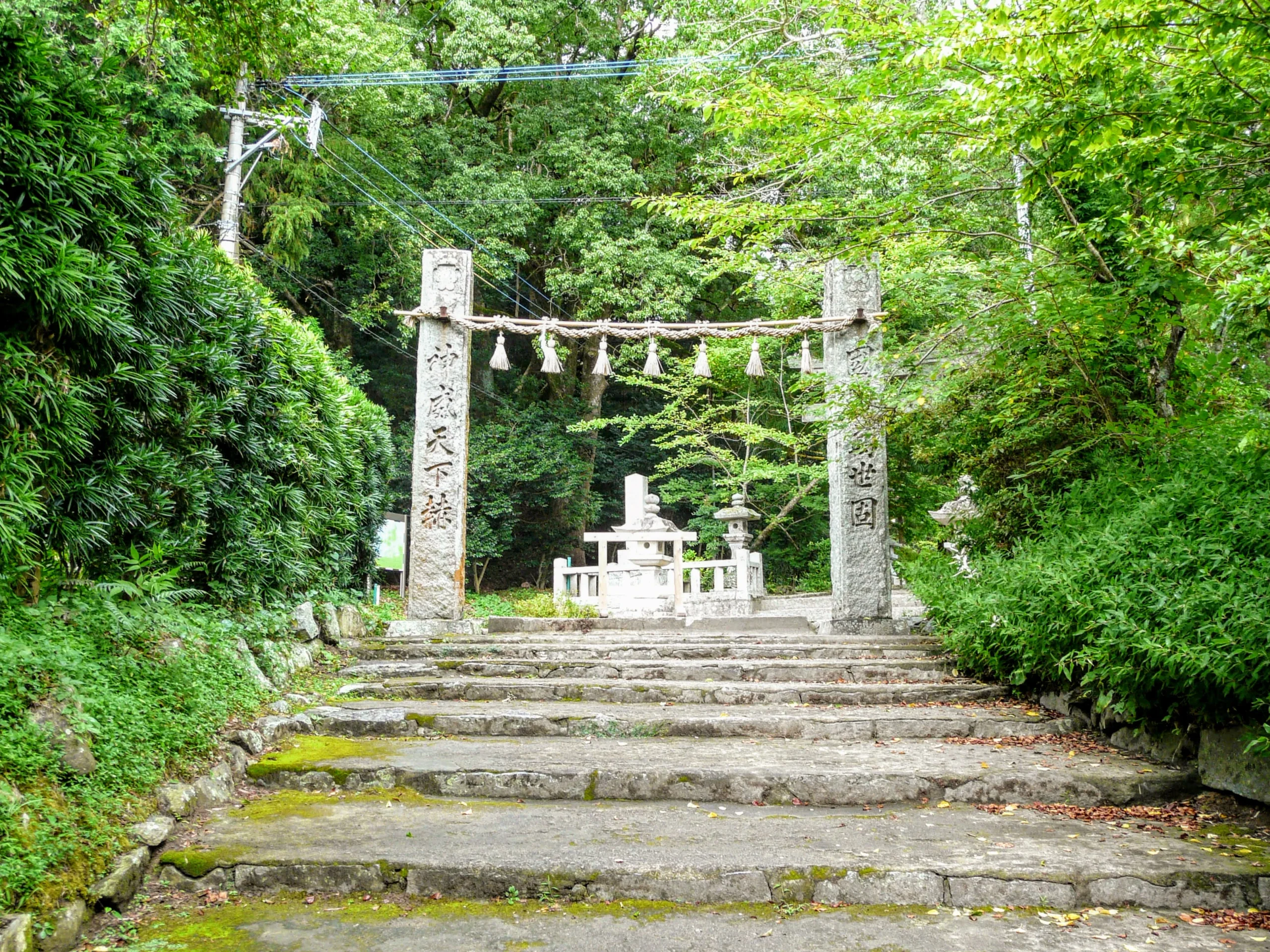 櫻井神社參道入口，可由鳥居及石階進入林蔭中的神社境內。