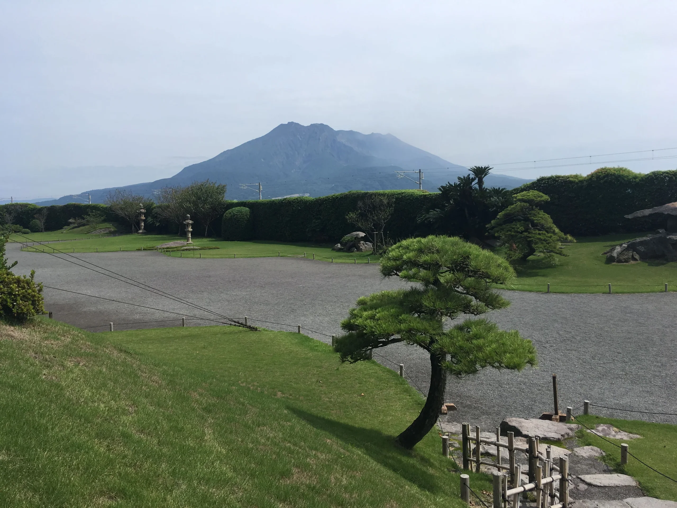 仙巖園庭園草地、松樹與遠方櫻島