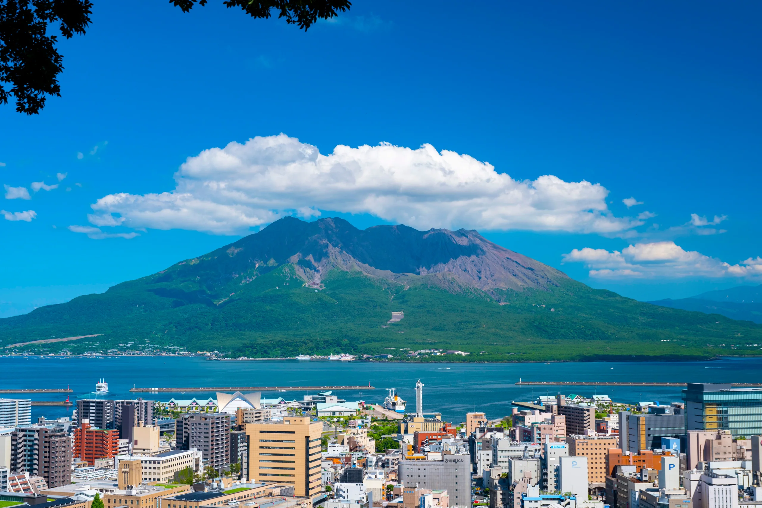 城山展望台前方的鹿兒島市街、錦江灣與櫻島