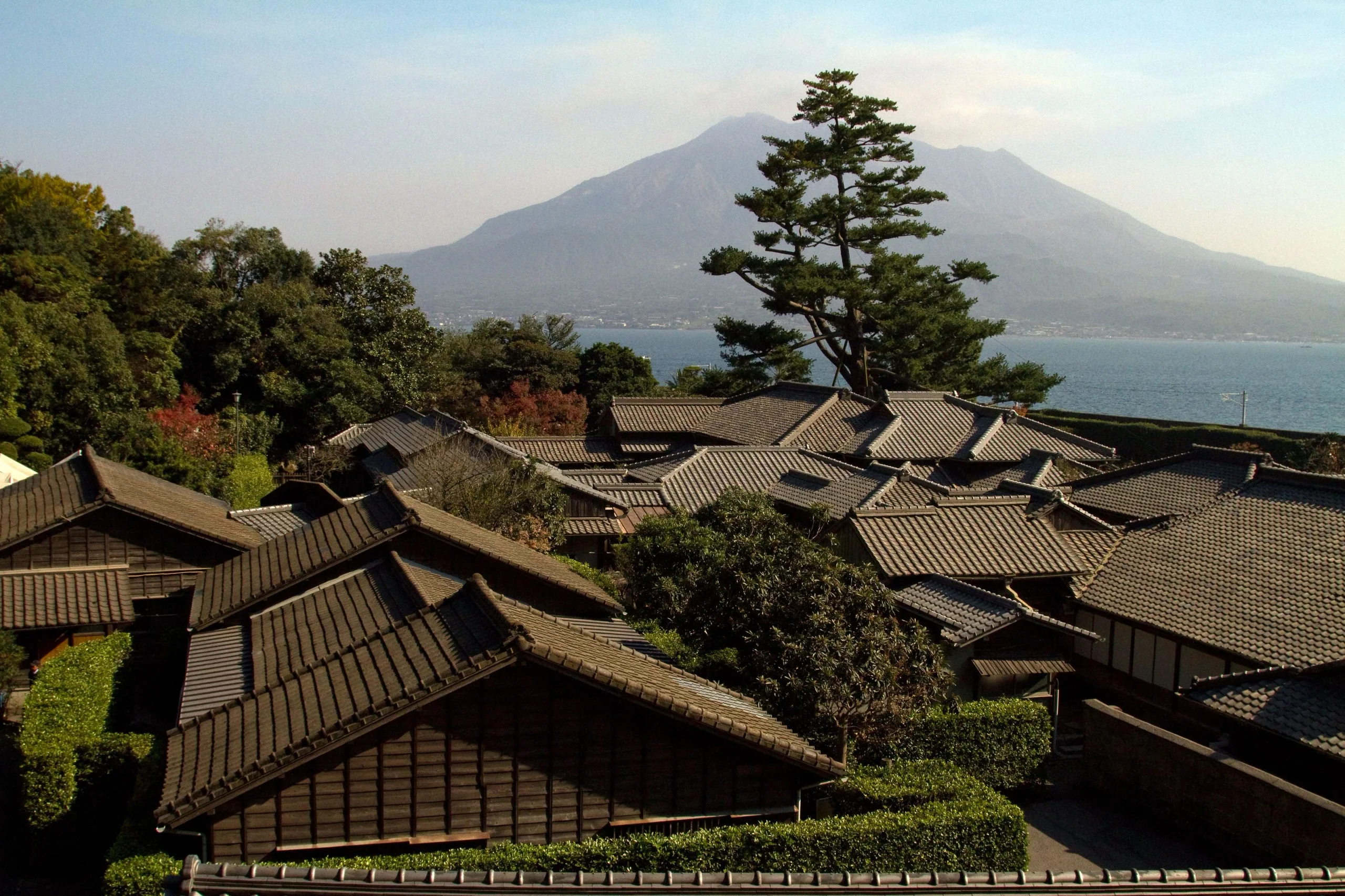 從仙巖園庭園望過錦江灣，可見櫻島山影