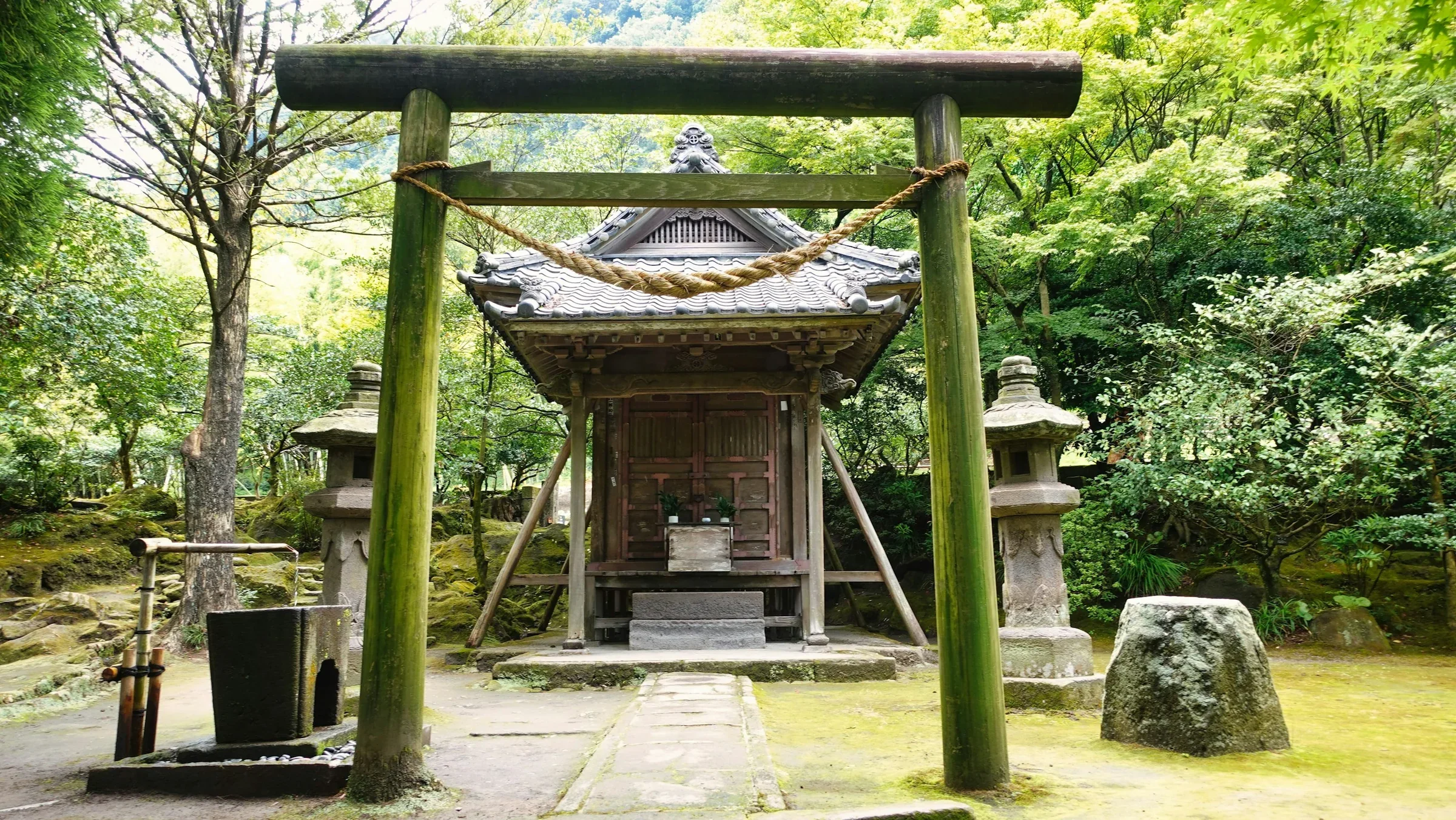 仙巖園園內樹林中一座帶注連繩的神社