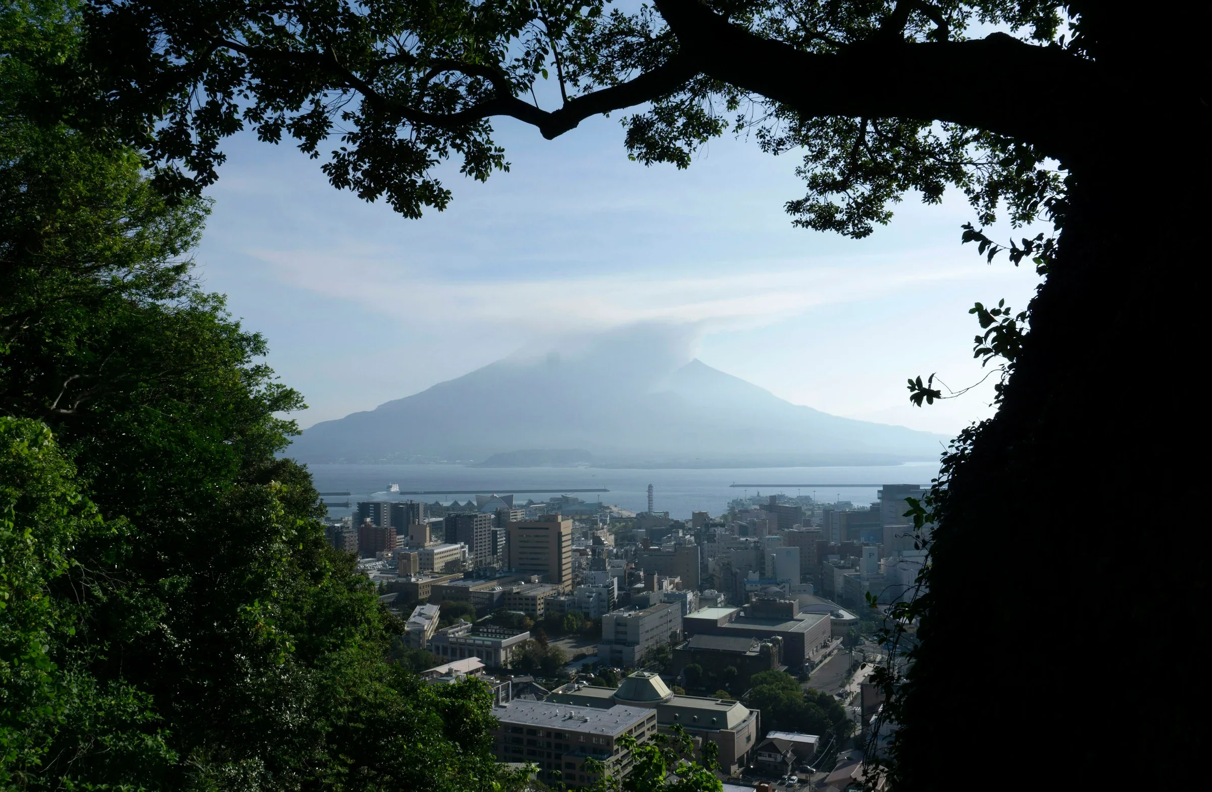 從鹿兒島市高處眺望櫻島與市區
