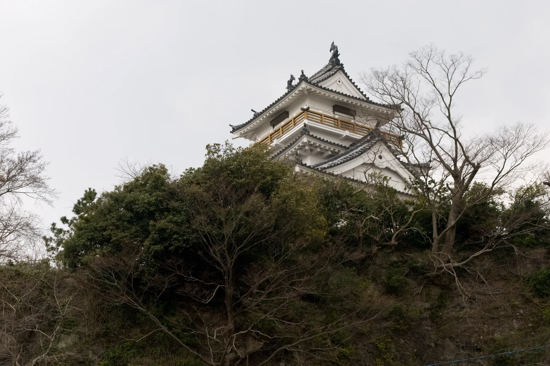 杵築城天守在海灣與樹林上方的遠景
