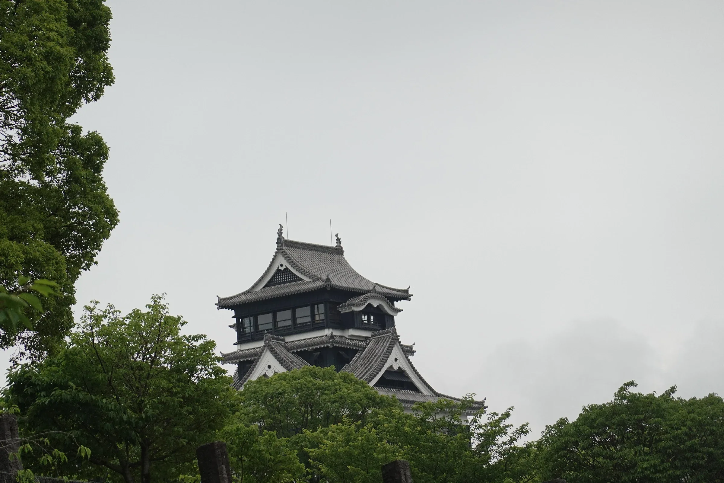 熊本城天守與周邊樹景，攝於2024年5月
