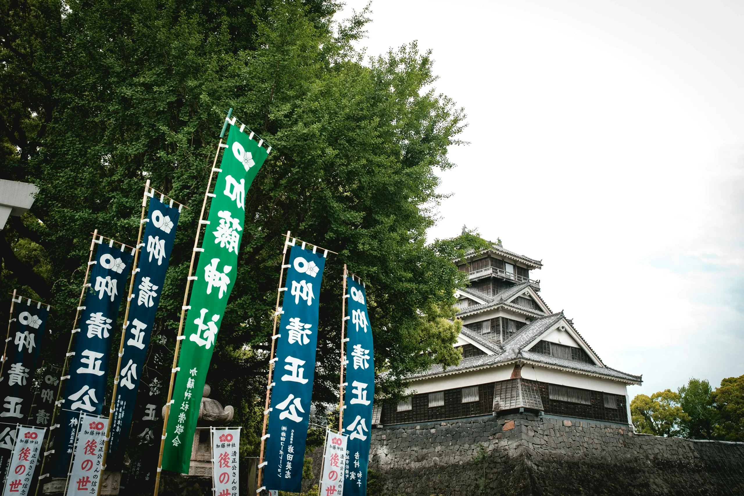 熊本城外的旗幟、樹木與城樓實景