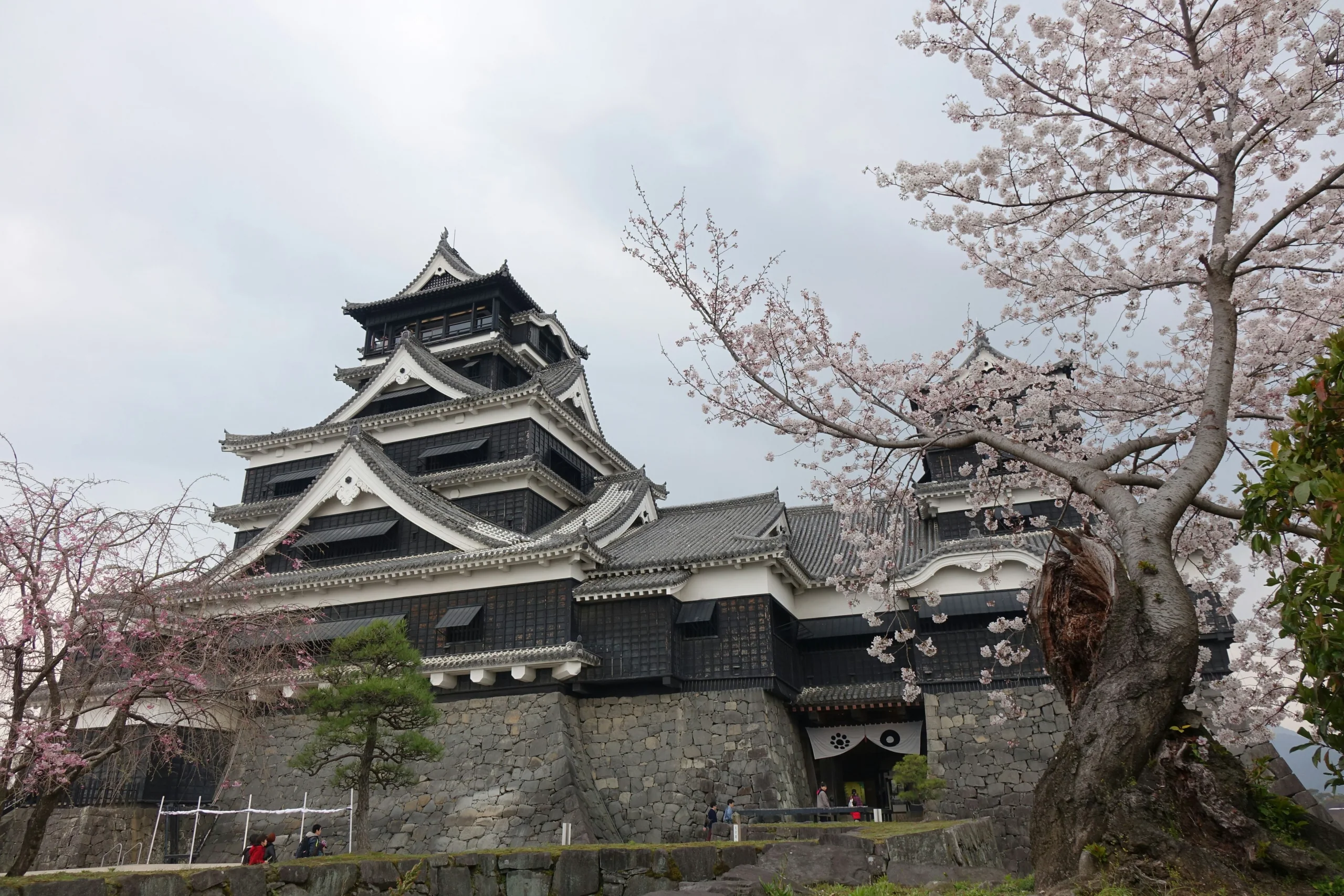 熊本城天守外觀與前方樹木