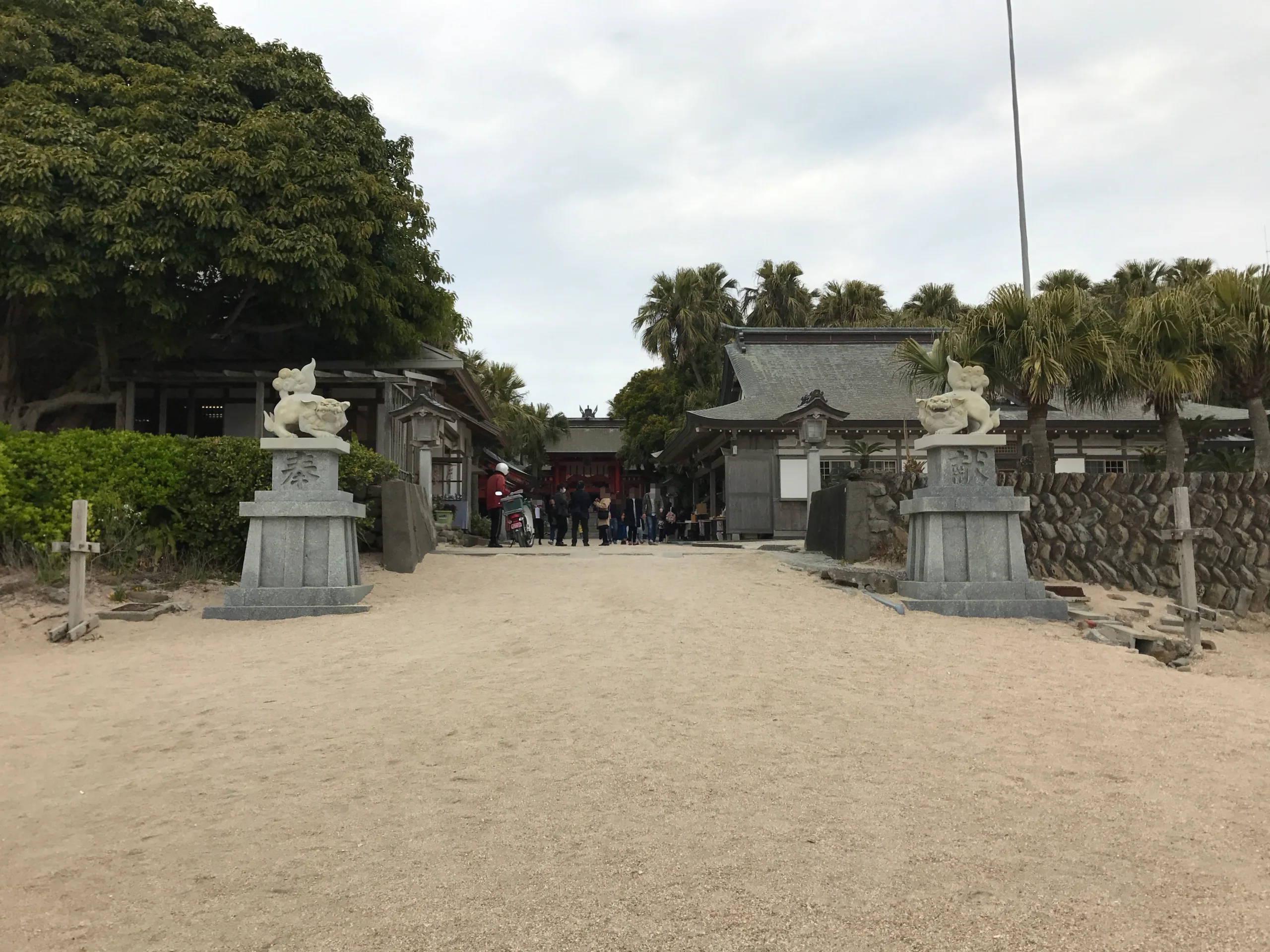 青島神社入口與朱紅色鳥居的遠景