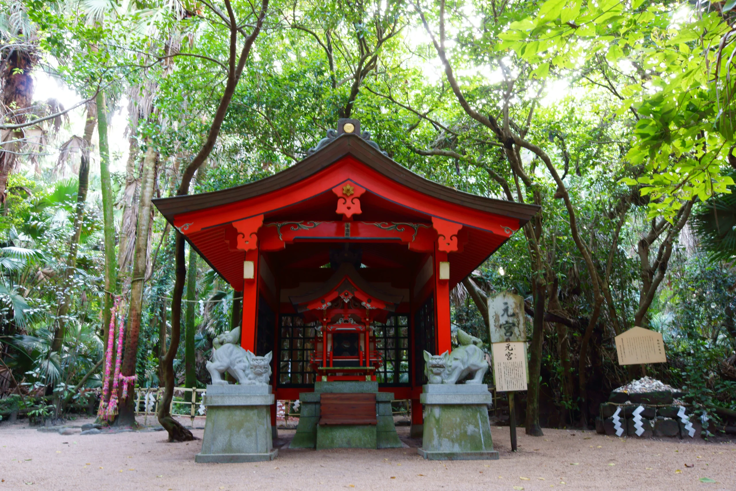青島神社境內的朱紅色小社與森林步道