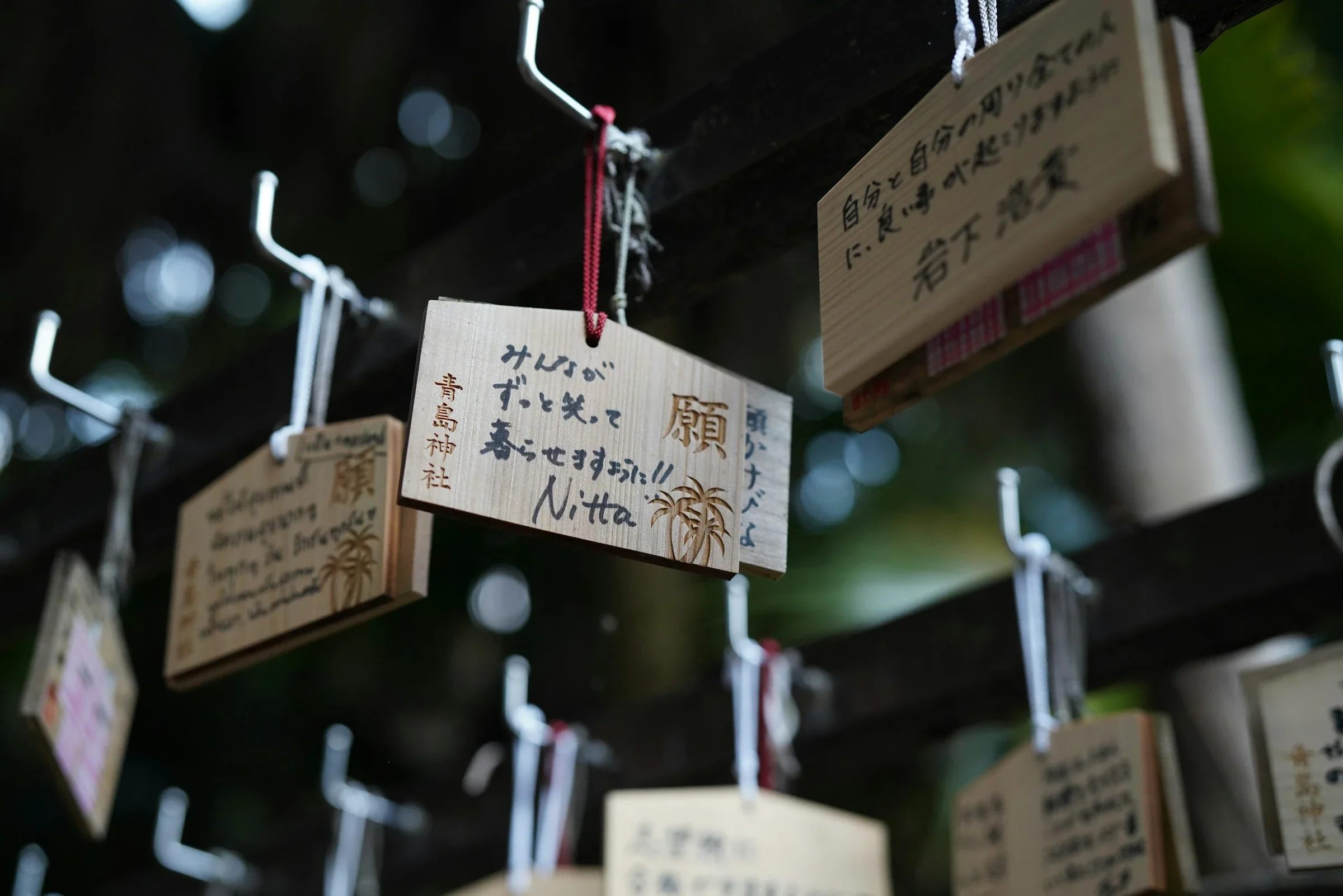 青島神社掛滿繪馬的祈願架
