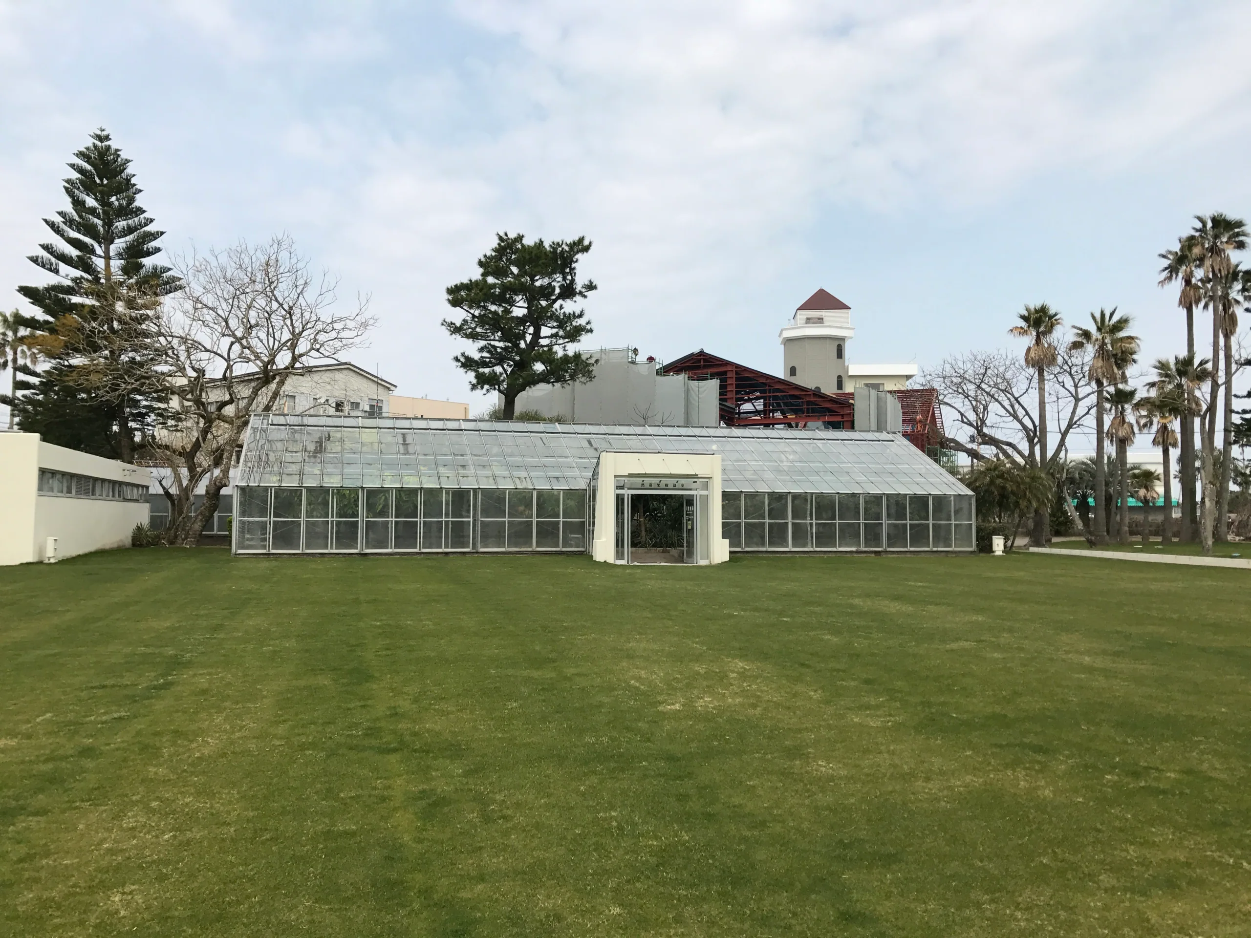 宮崎青島亞熱帶植物園的熱帶果樹溫室，溫室前有草地和棕櫚樹