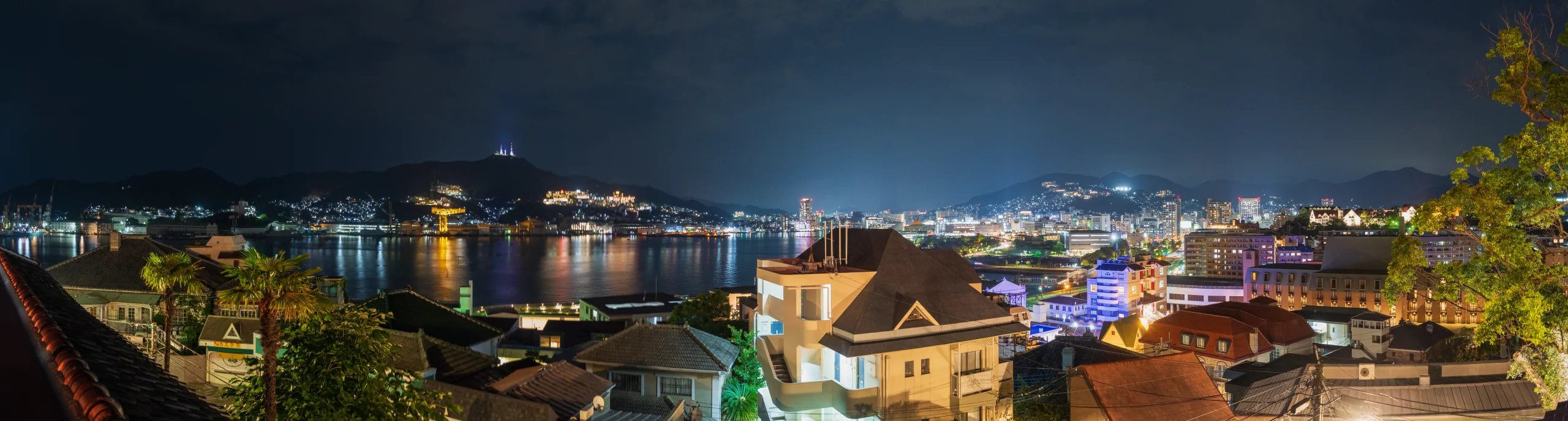 從哥拉巴園望向入夜後的長崎港和稻佐山