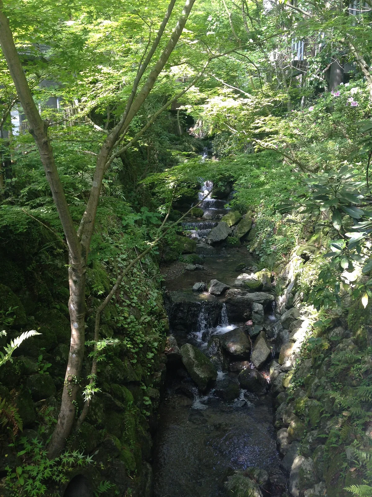 南藏院前方溪流與山林環境，雨天石路與坡道要注意鞋底抓地