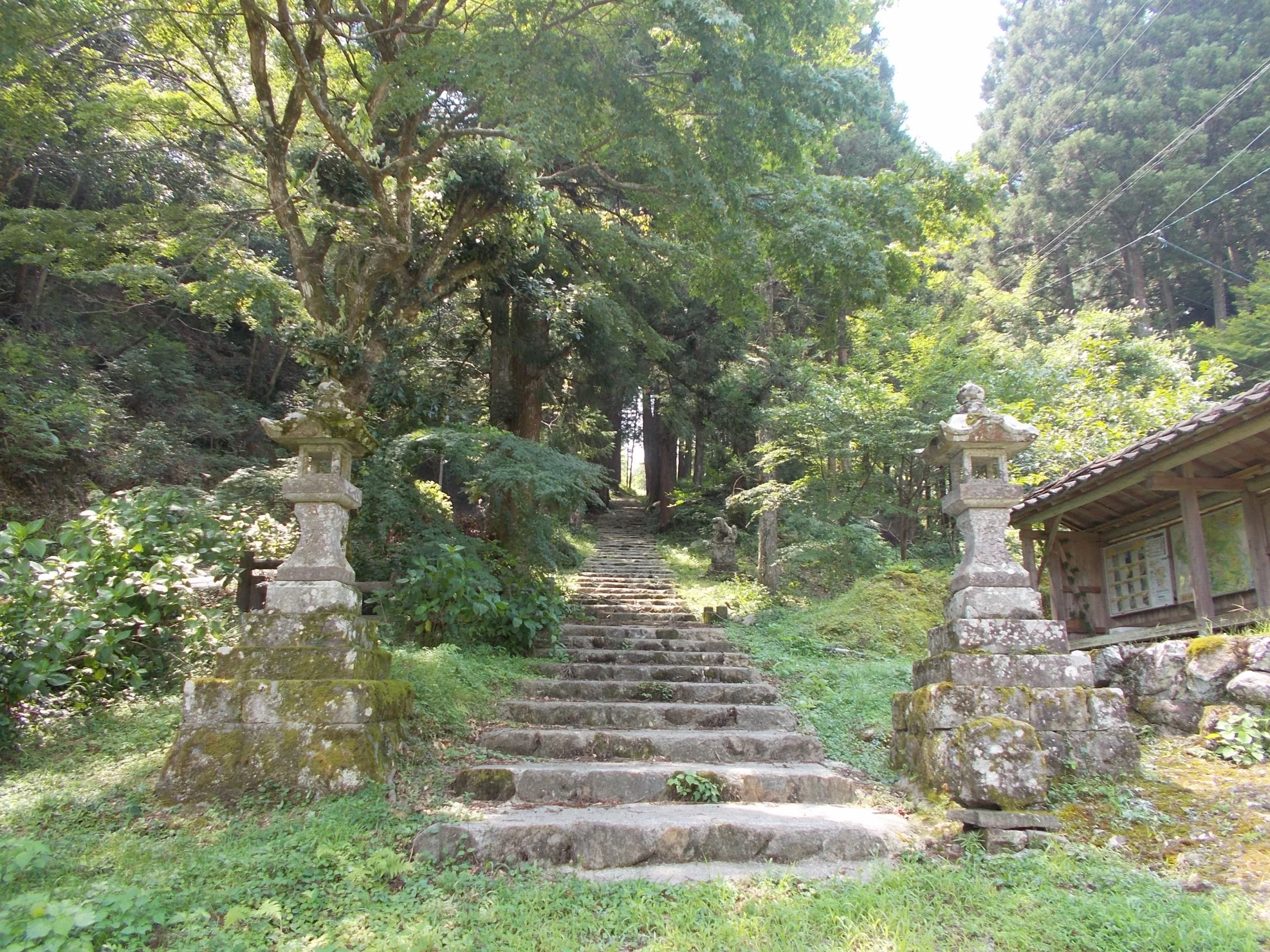 岩屋神社參道石階穿過林木向上延伸，兩側有石燈籠。