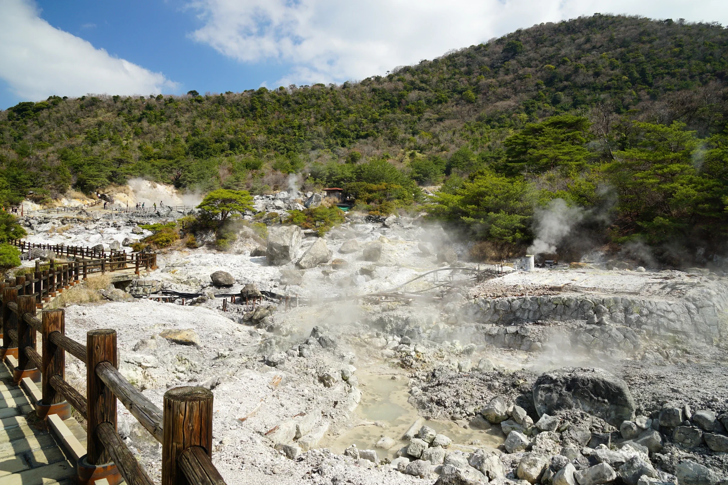 雲仙地獄蒸氣升起，木棧道穿過白色岩地與林木之間