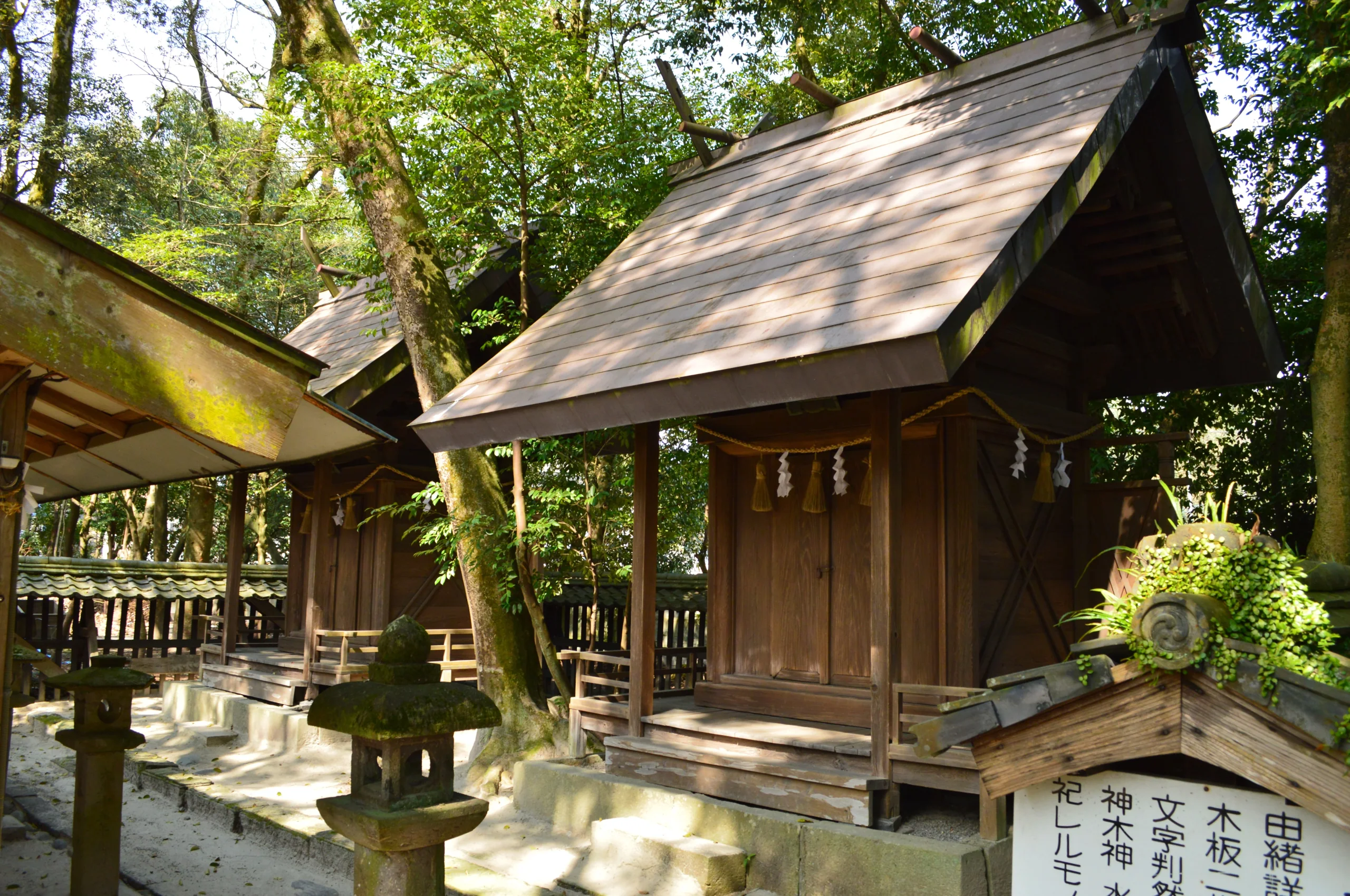 青井阿蘇神社境內建築與參道