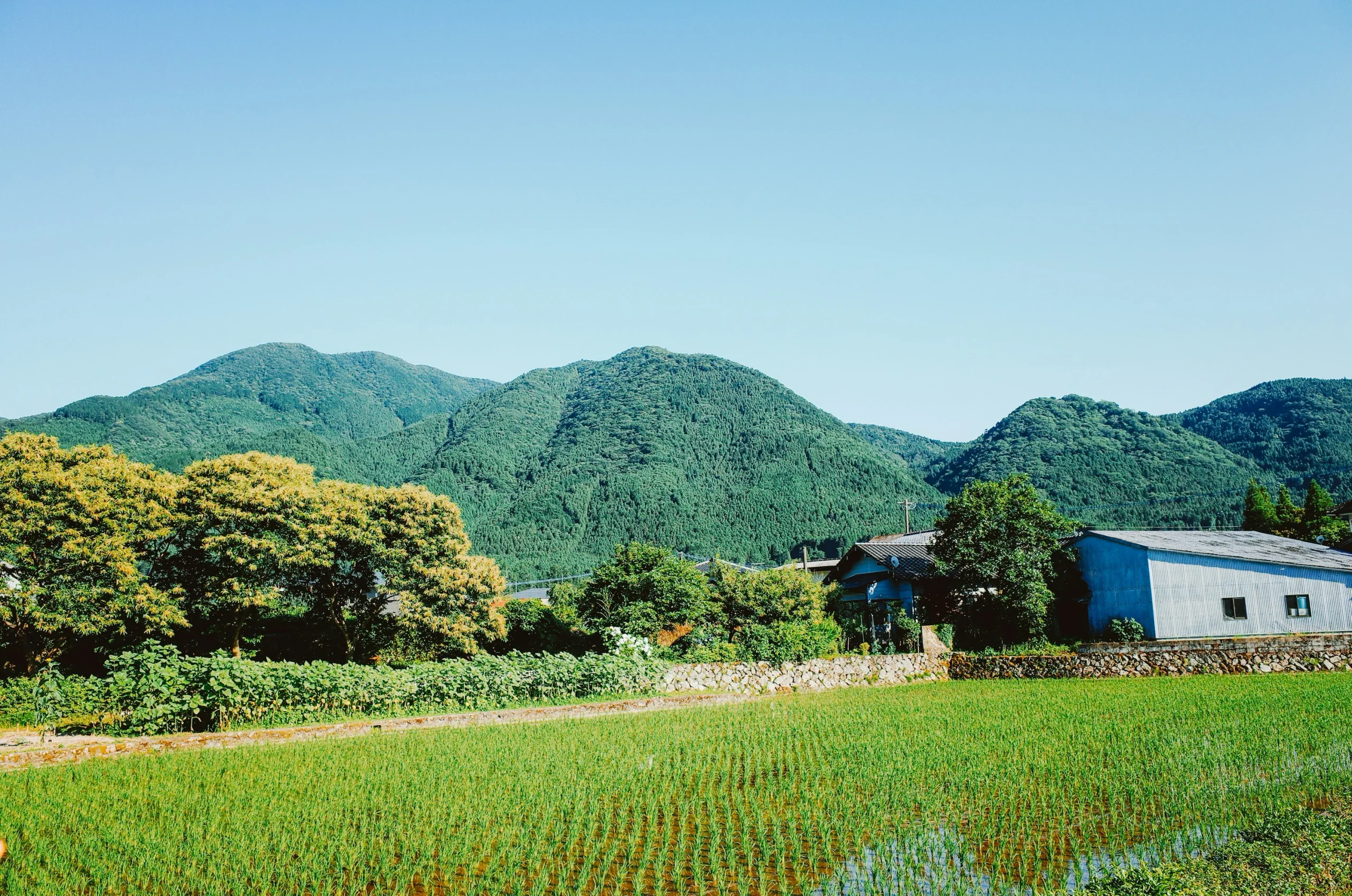 由布院郊外稻田、聚落與山景