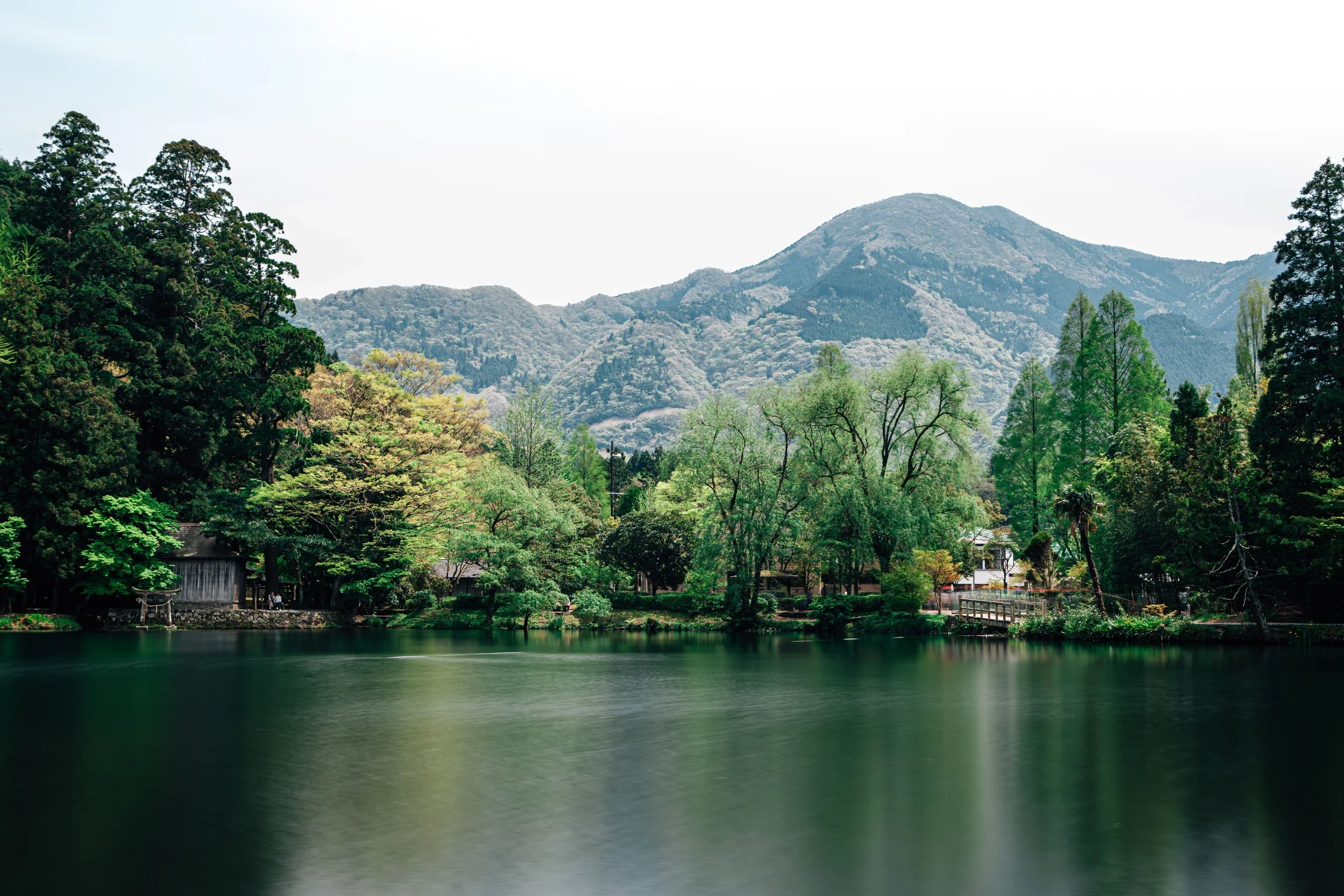 由布院湖岸、樹林與山景