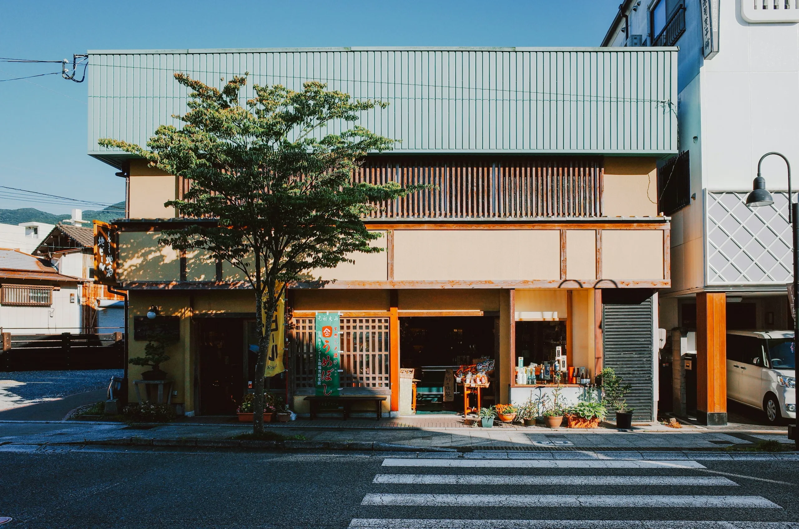 由布院傳統店面前的樹木與十字路口