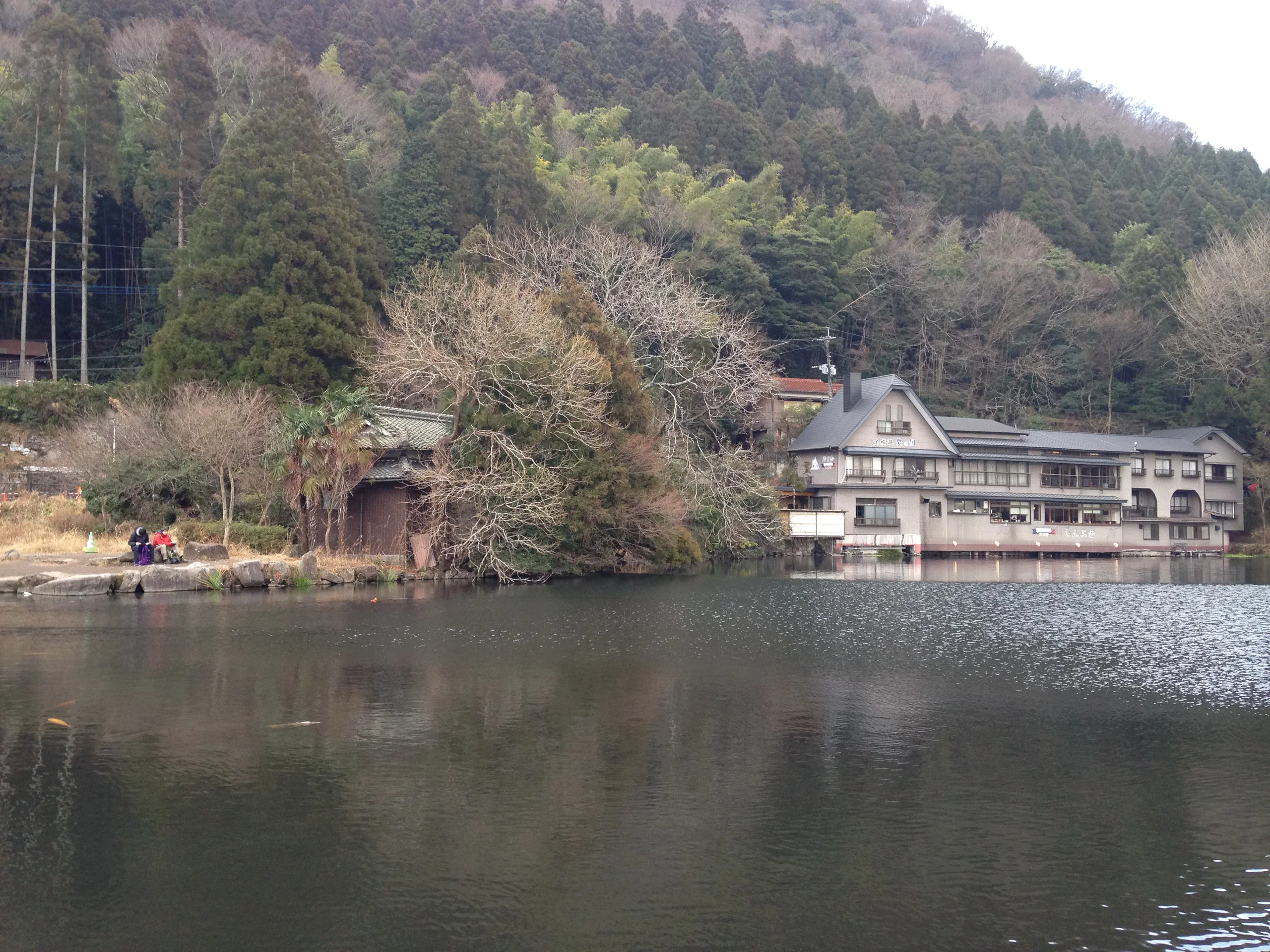 金鱗湖西北岸湖面、湖畔旅館與沿岸步道