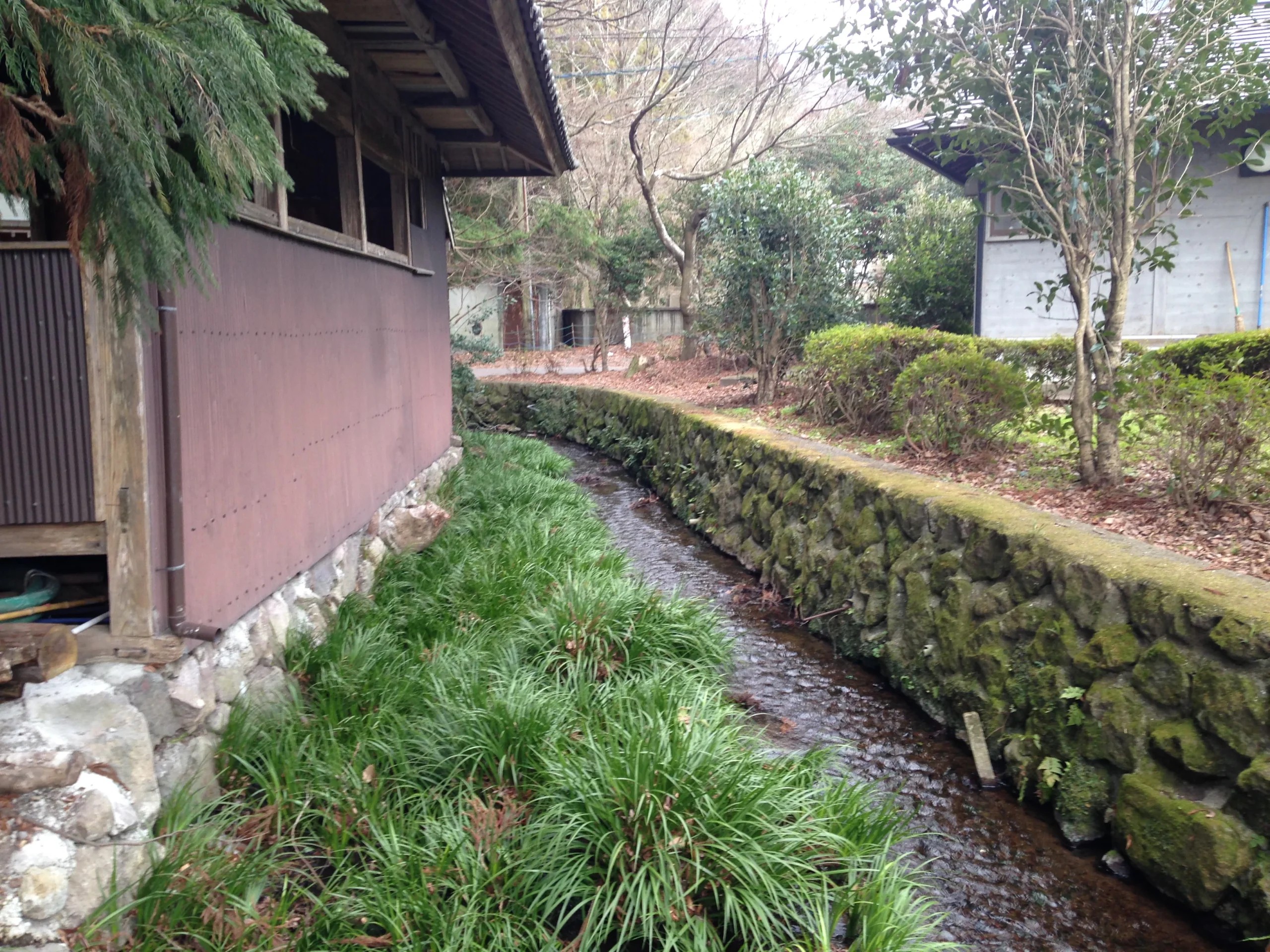 天祖神社與金鱗湖附近的小溪及石岸步道，適合說明湖畔住宿區清晨可步行到達的周邊環境。